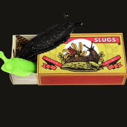 Rex London Box of two slimy slugs Outlet