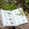 Rex London Children's Journal - Nature Trail Discount