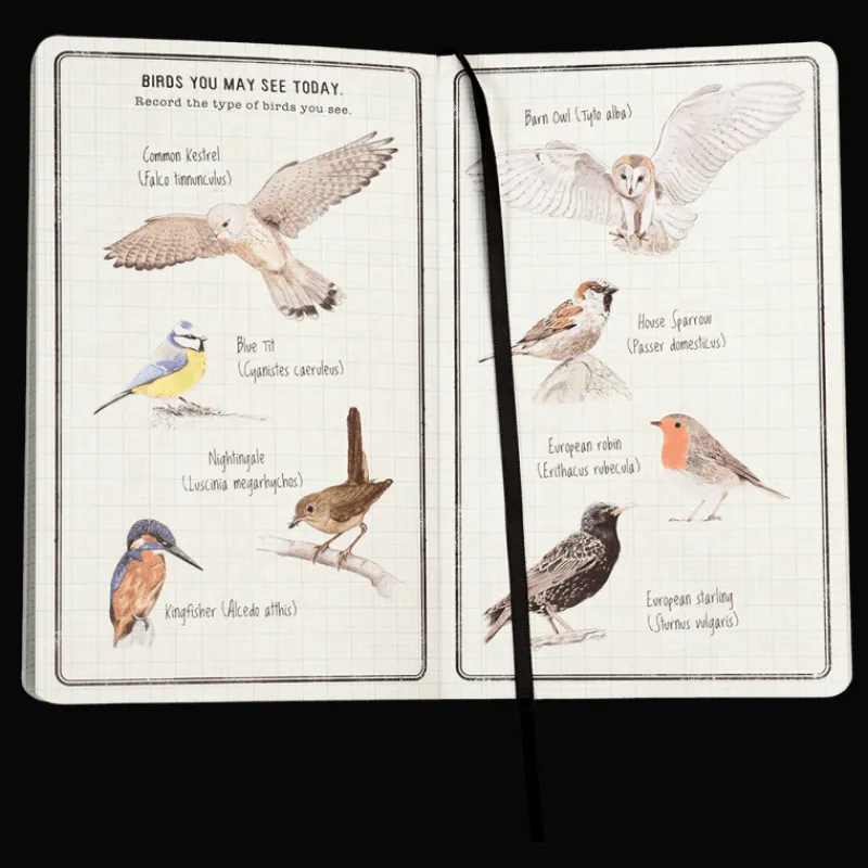 Rex London Children's Journal - Nature Trail Discount