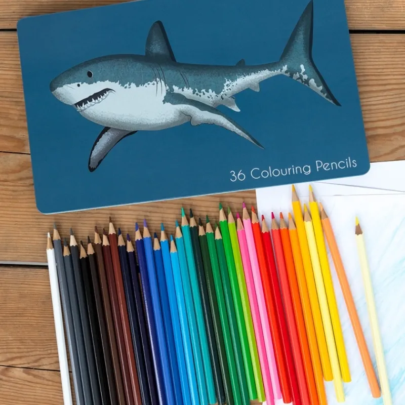 Rex London 36 colouring pencils in a tin - Sharks Best