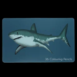 Rex London 36 colouring pencils in a tin - Sharks Best