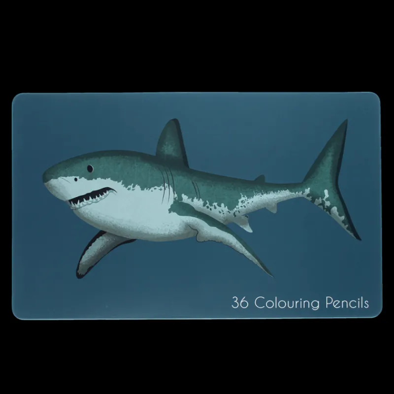 Rex London 36 colouring pencils in a tin - Sharks Best