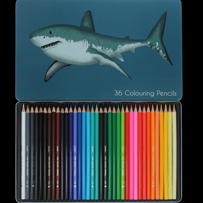 Rex London 36 colouring pencils in a tin - Sharks Best
