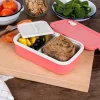 Rex London Double wall lunch box with divider - Rose pink Online