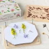 Rex London Flower press - Wonders of Nature Discount