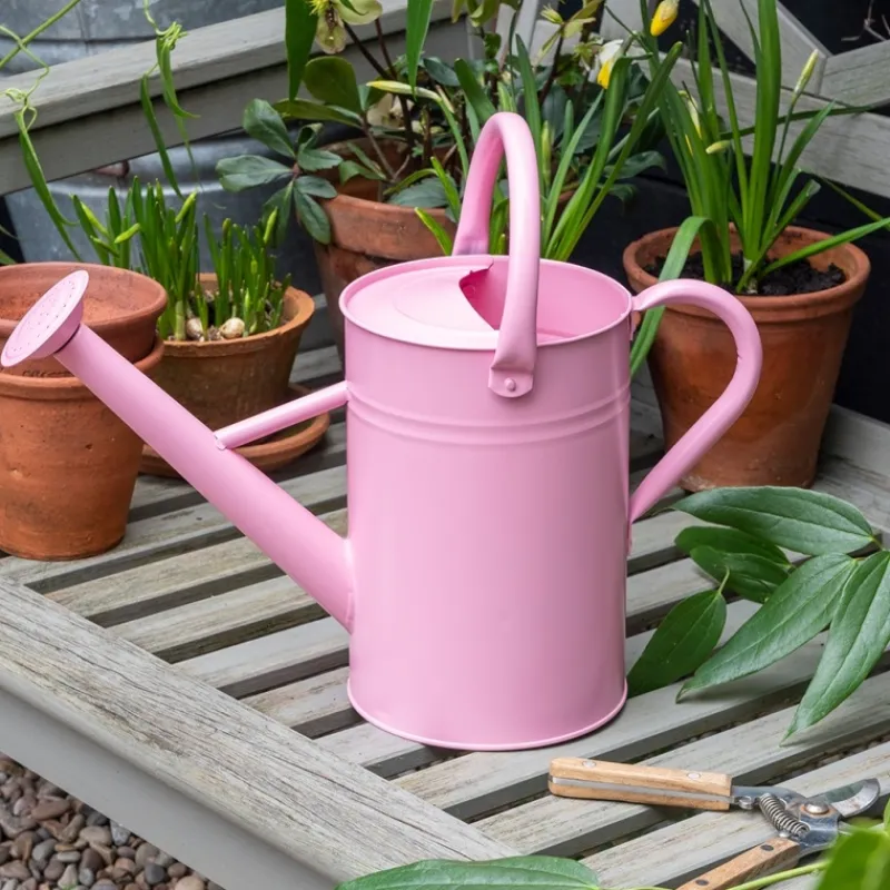 Rex London Galvanised steel watering can 4.5L - Pink Best