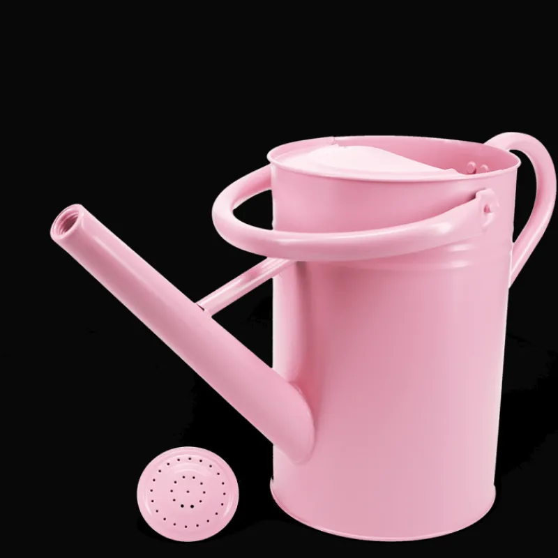Rex London Galvanised steel watering can 4.5L - Pink Best