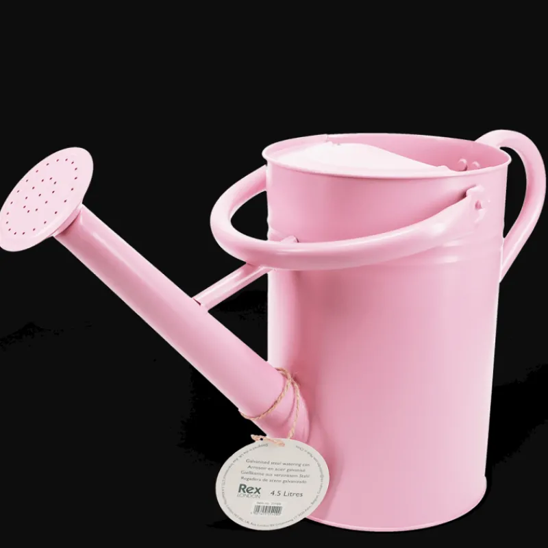 Rex London Galvanised steel watering can 4.5L - Pink Best