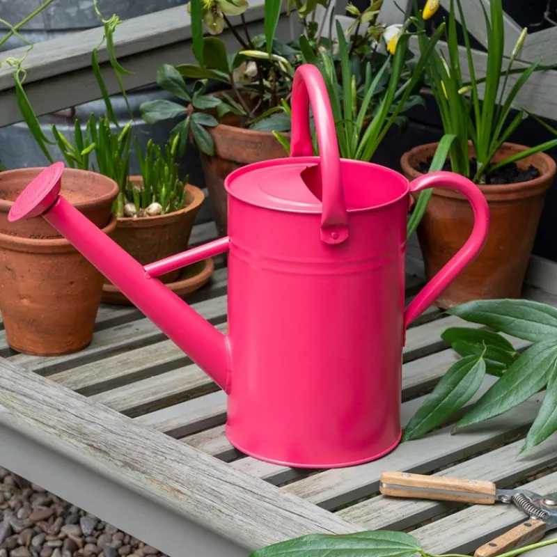 Rex London Galvanised steel watering can 4.5L - Red Clearance
