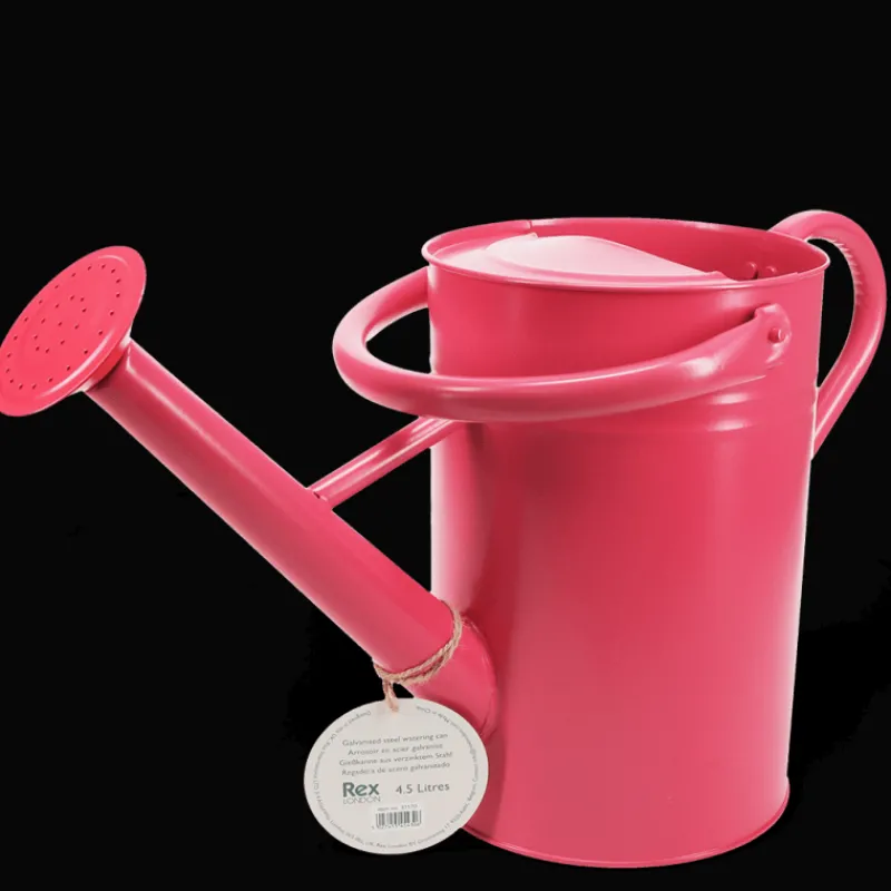 Rex London Galvanised steel watering can 4.5L - Red Clearance