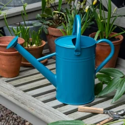 Rex London Galvanised steel watering can 4.5L - Blue Outlet