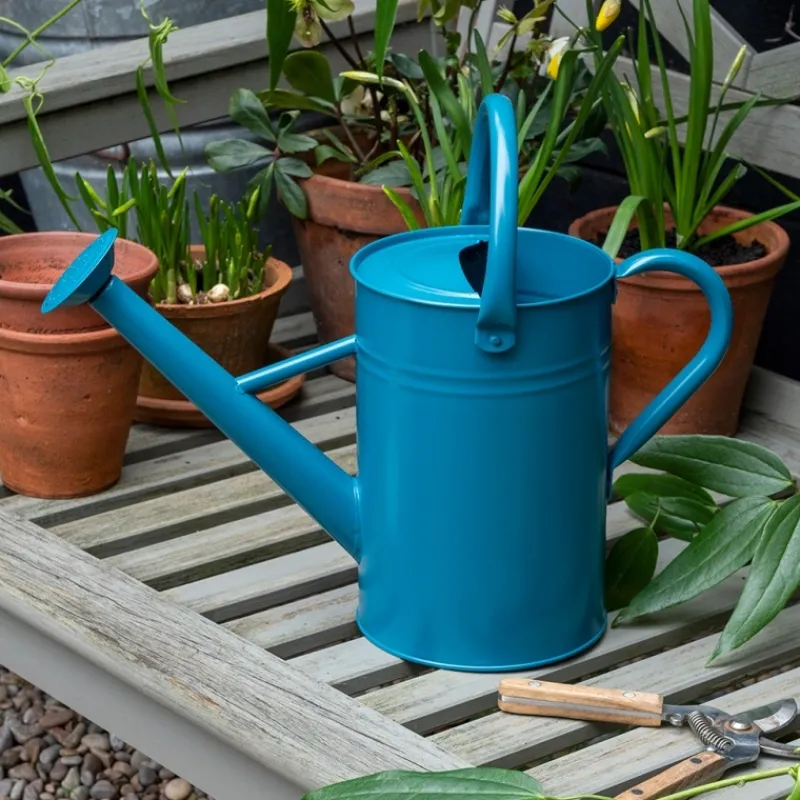 Rex London Galvanised steel watering can 4.5L - Blue Outlet