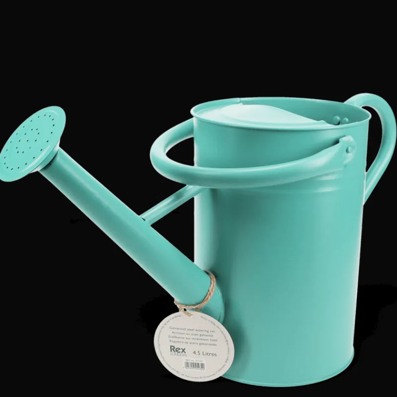 Rex London Galvanised steel watering can 4.5L - Aqua Outlet