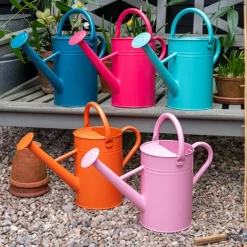 Rex London Galvanised steel watering can 4.5L - Aqua Outlet