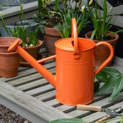 Rex London Galvanised steel watering can 4.5L - Orange Sale