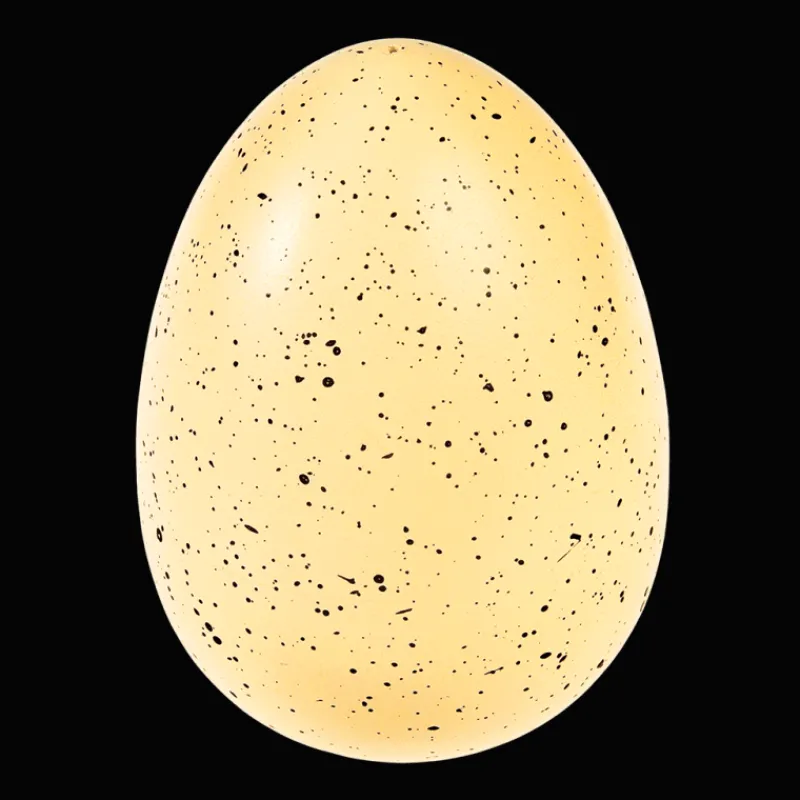 Rex London Giant hatching dinosaur egg - Prehistoric Land Clearance