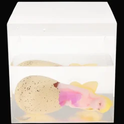 Rex London Giant hatching fairy egg - Fairies in the Garden Hot