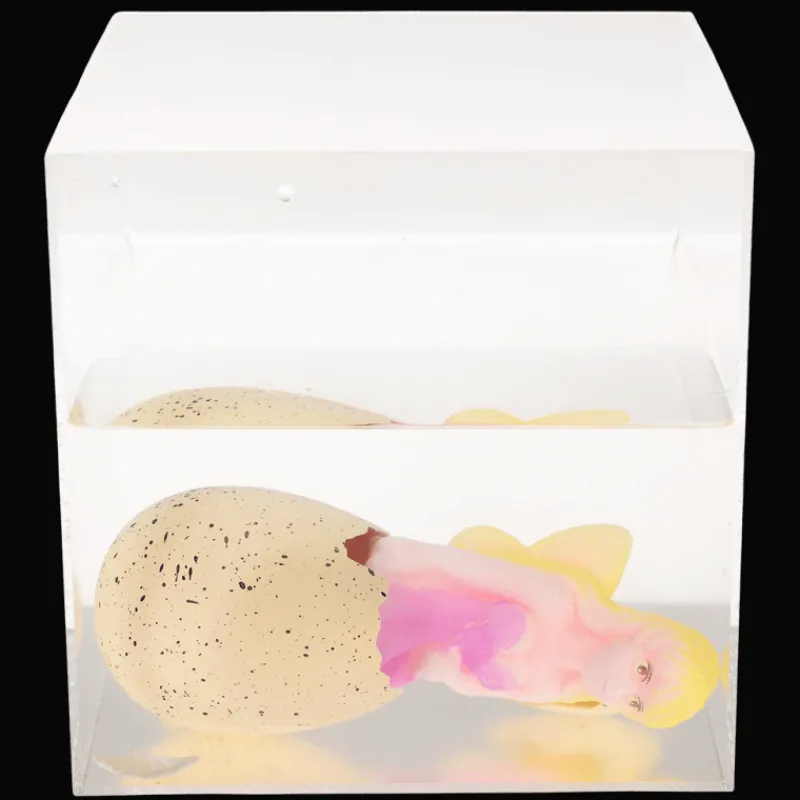 Rex London Giant hatching fairy egg - Fairies in the Garden Hot