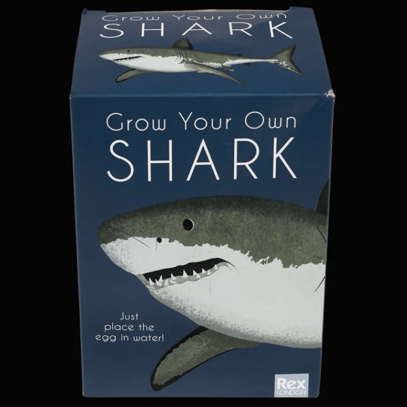 Rex London Giant hatching shark egg - Sharks Clearance