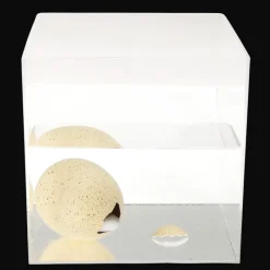 Rex London Giant hatching shark egg - Sharks Clearance