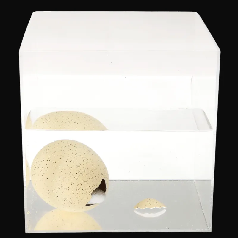 Rex London Giant hatching shark egg - Sharks Clearance