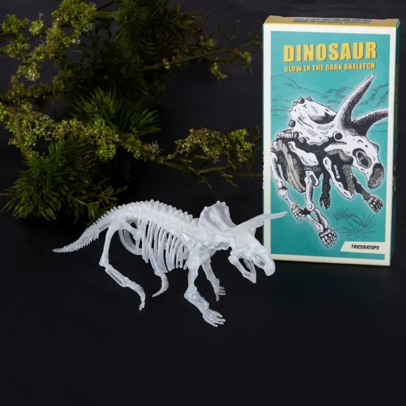 Rex London Glow-in-the-dark dinosaur skeleton kit (assorted - SINGLE) Discount