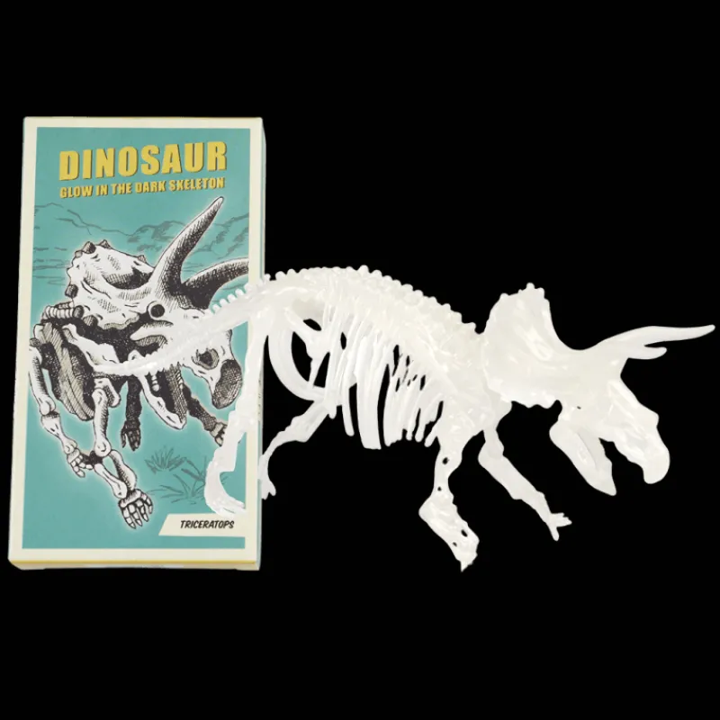 Rex London Glow-in-the-dark dinosaur skeleton kit (assorted - SINGLE) Discount