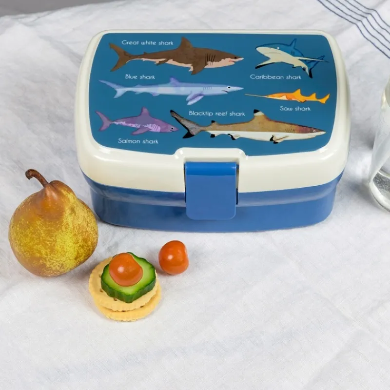 Rex London Lunch box with tray - Sharks Clearance