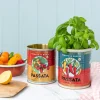 Rex London Medium storage tins (set of 2) - PASSATA Discount