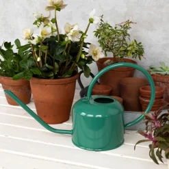 Rex London Metal watering can (1 L) - Dark Green Discount