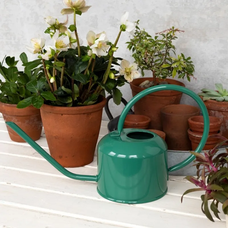 Rex London Metal watering can (1 L) - Dark Green Discount