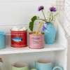 Rex London Mini storage tins (set of 2) - Fish MACKEREL & ANCHOVIES Online