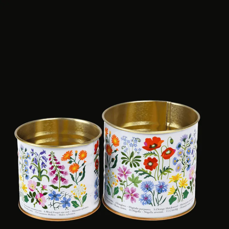 Rex London Mini storage tins (set of 2) - Wild Flowers Clearance