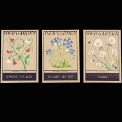 Rex London Pack of flower seeds - Your Garden (assorted - SINGLE) Hot