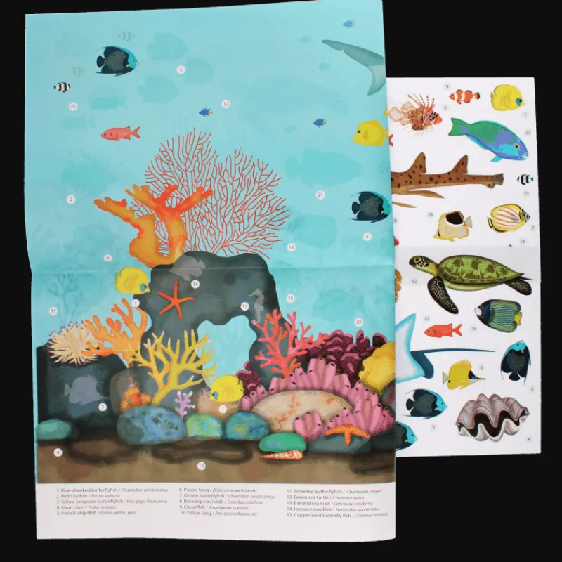 Rex London Poster with reusable stickers (50x70cm) - Coral Reef Sale