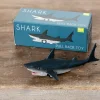 Rex London Pull back toy - Shark New