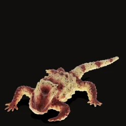 Rex London Realistic horned lizard toy Outlet