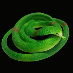 Rex London Rubber cobra toy Online