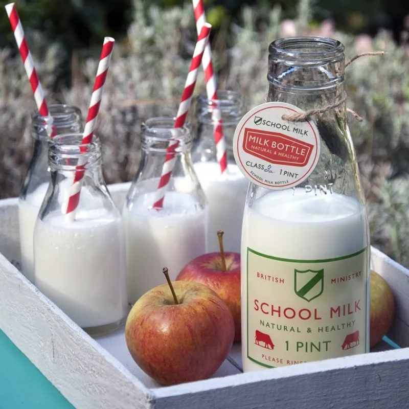 Rex London School milk bottle (1 pint) Hot