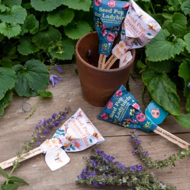 Rex London Seed pops - Wildflower seeds (assorted - SINGLE) Best
