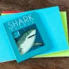 Rex London Slide puzzle - Sharks Online