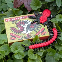 Rex London Slimy creepy crawlies in a box (set of two) Hot