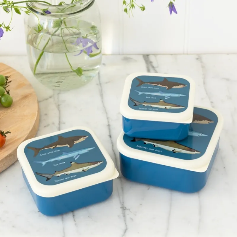 Rex London Snack boxes (set of 3) - Sharks Discount