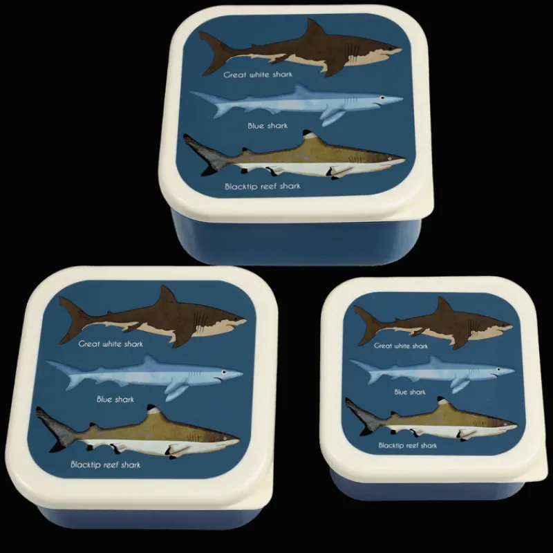 Rex London Snack boxes (set of 3) - Sharks Discount