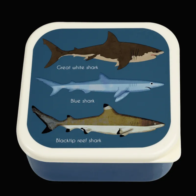 Rex London Snack boxes (set of 3) - Sharks Discount