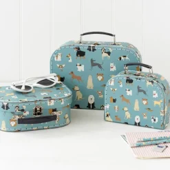 Rex London Storage cases (set of 3) - Best in Show Discount