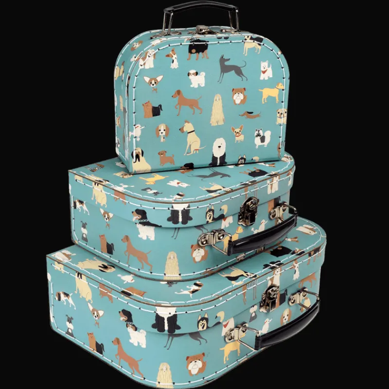 Rex London Storage cases (set of 3) - Best in Show Discount