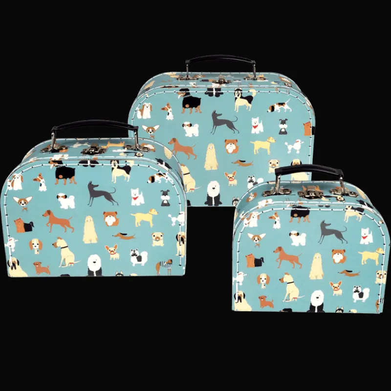 Rex London Storage cases (set of 3) - Best in Show Discount
