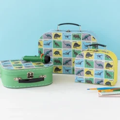 Rex London Storage cases (set of 3) - Prehistoric Land Clearance