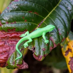 Rex London Super stretchy gecko (assorted - SINGLE) Discount
